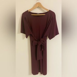 Express Tie Front Midi Dress